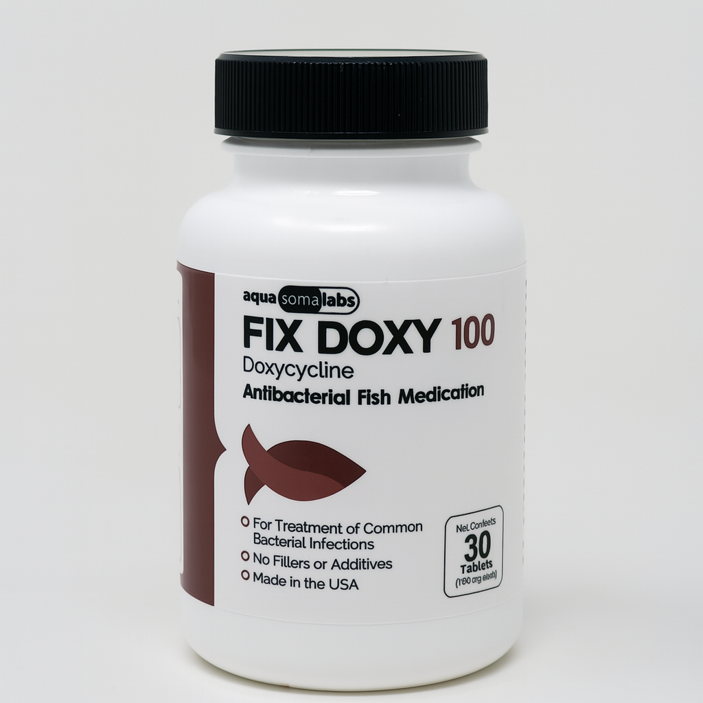 Fish Doxy 100